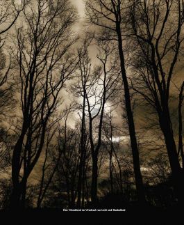 MARZENA SKUBATZ PHOTOGRAPHY