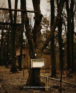 MARZENA SKUBATZ PHOTOGRAPHY