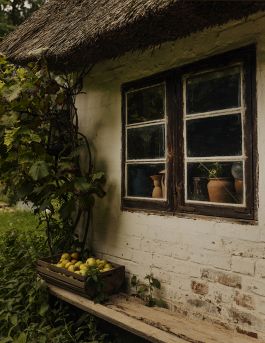 MARZENA SKUBATZ PHOTOGRAPHY