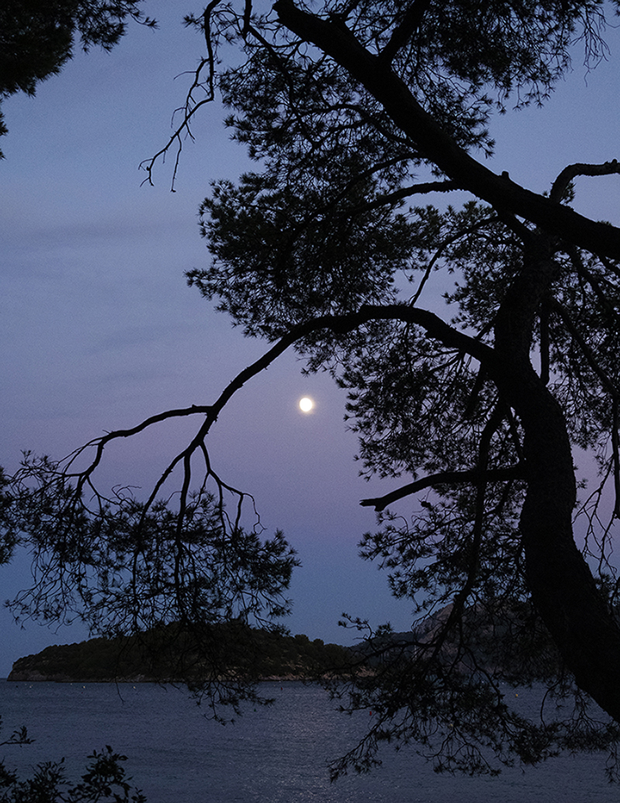MARZENA SKUBATZ PHOTOGRAPHY