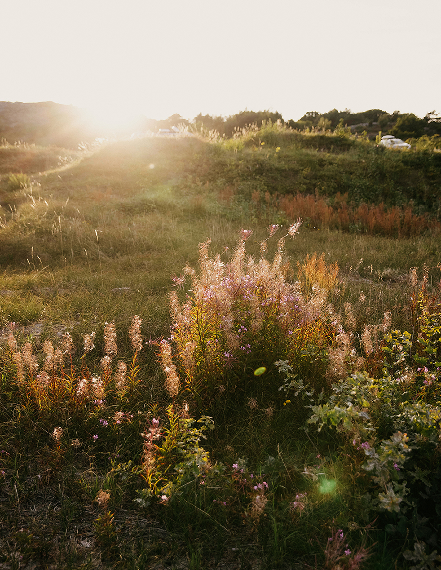 MARZENA SKUBATZ PHOTOGRAPHY