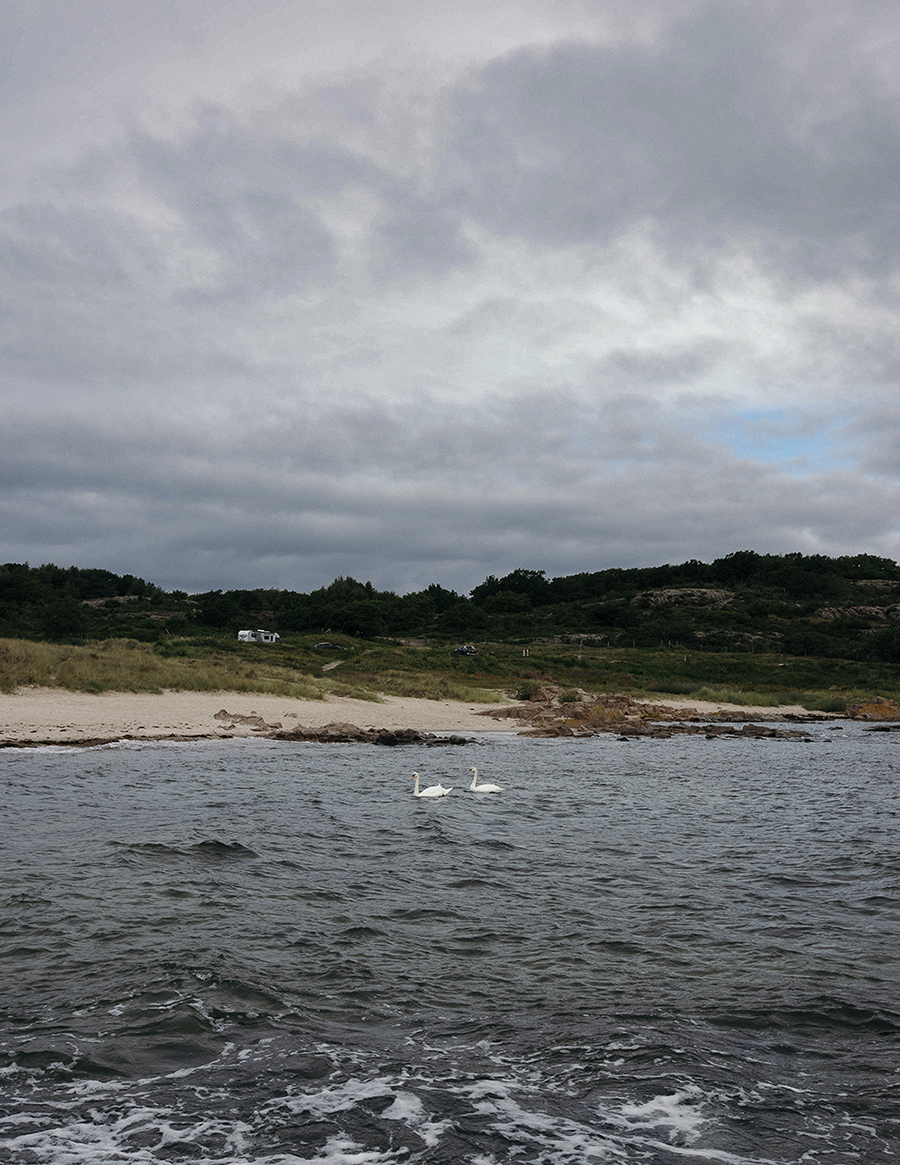 MARZENA SKUBATZ PHOTOGRAPHY