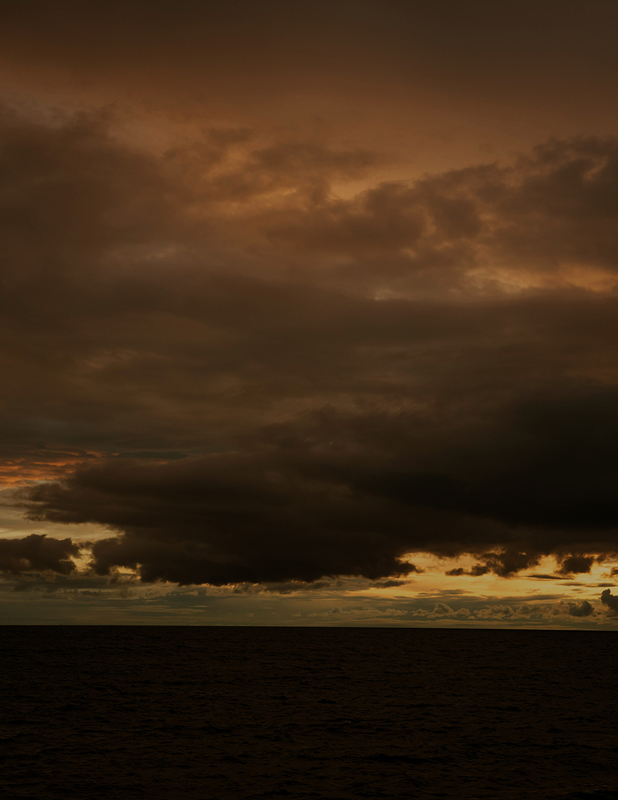 MARZENA SKUBATZ PHOTOGRAPHY