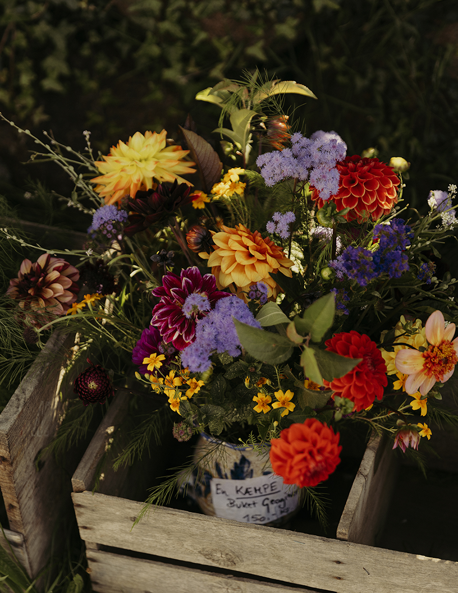 MARZENA SKUBATZ PHOTOGRAPHY