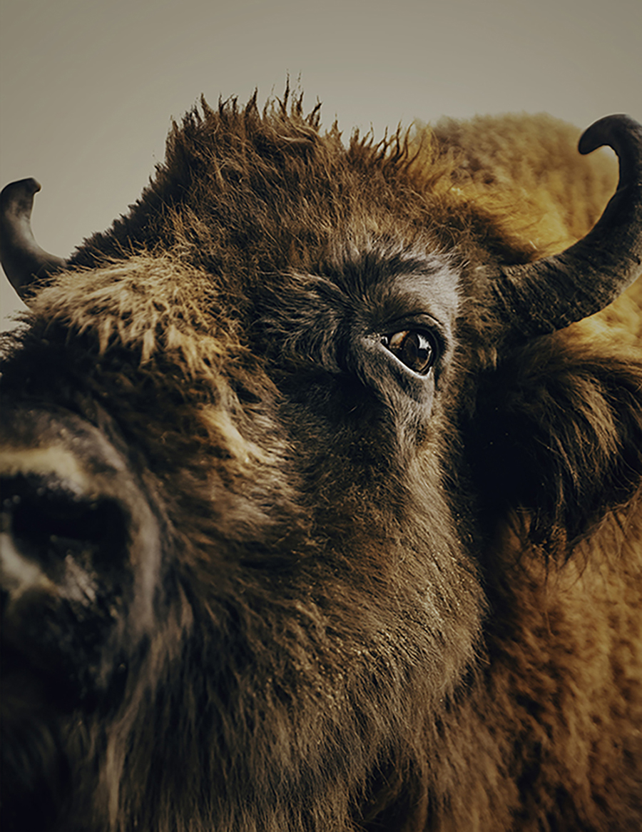 MARZENA SKUBATZ PHOTOGRAPHY