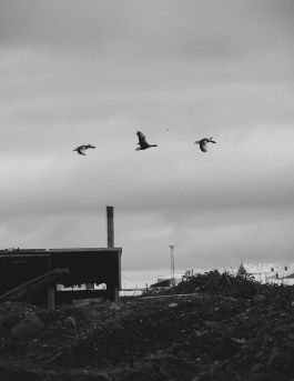 MARZENA SKUBATZ PHOTOGRAPHY