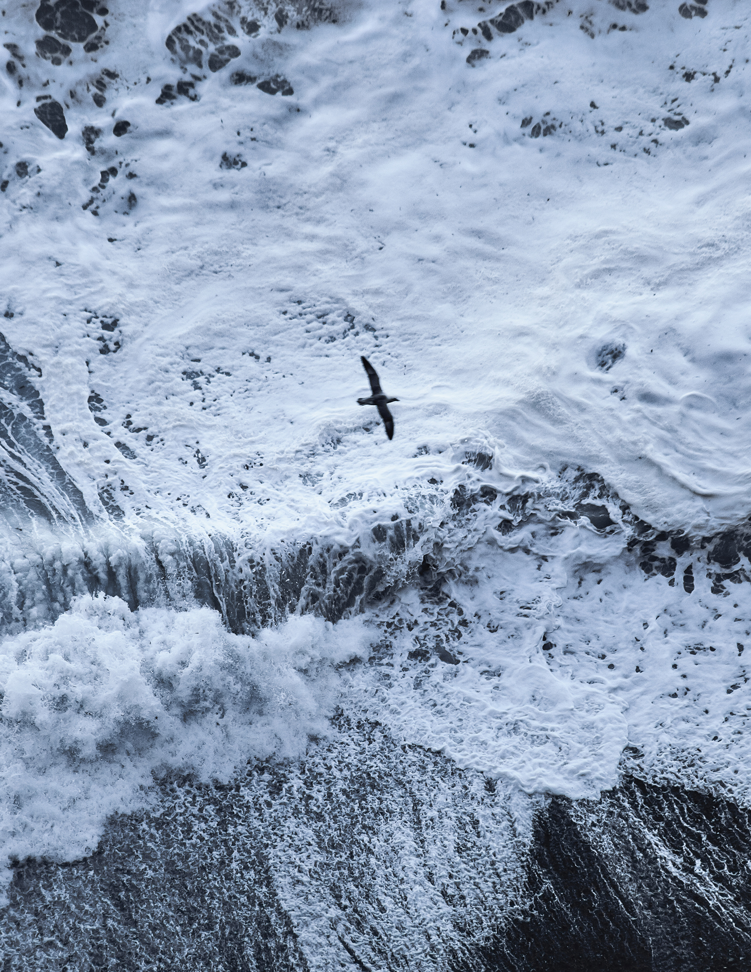 MARZENA SKUBATZ PHOTOGRAPHY