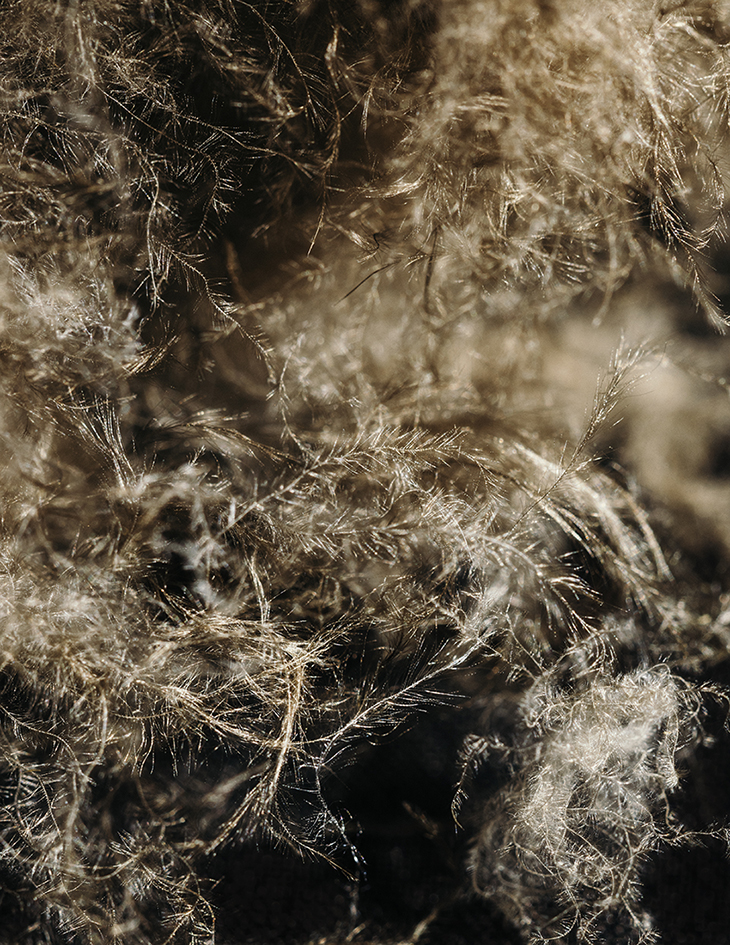 MARZENA SKUBATZ PHOTOGRAPHY