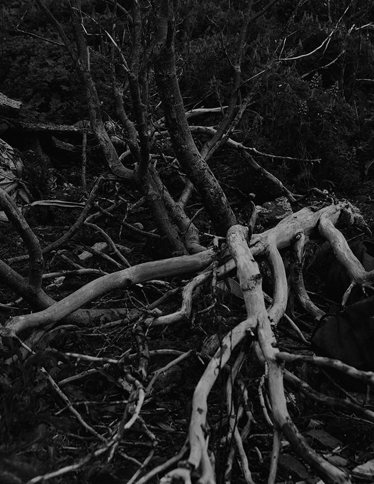 MARZENA SKUBATZ PHOTOGRAPHY