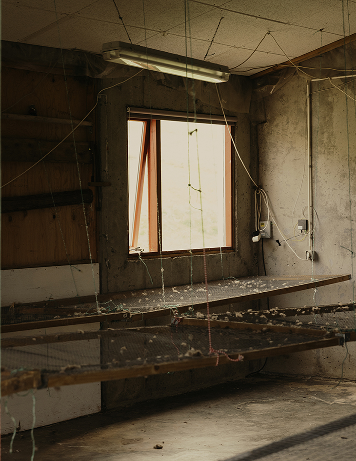 MARZENA SKUBATZ PHOTOGRAPHY