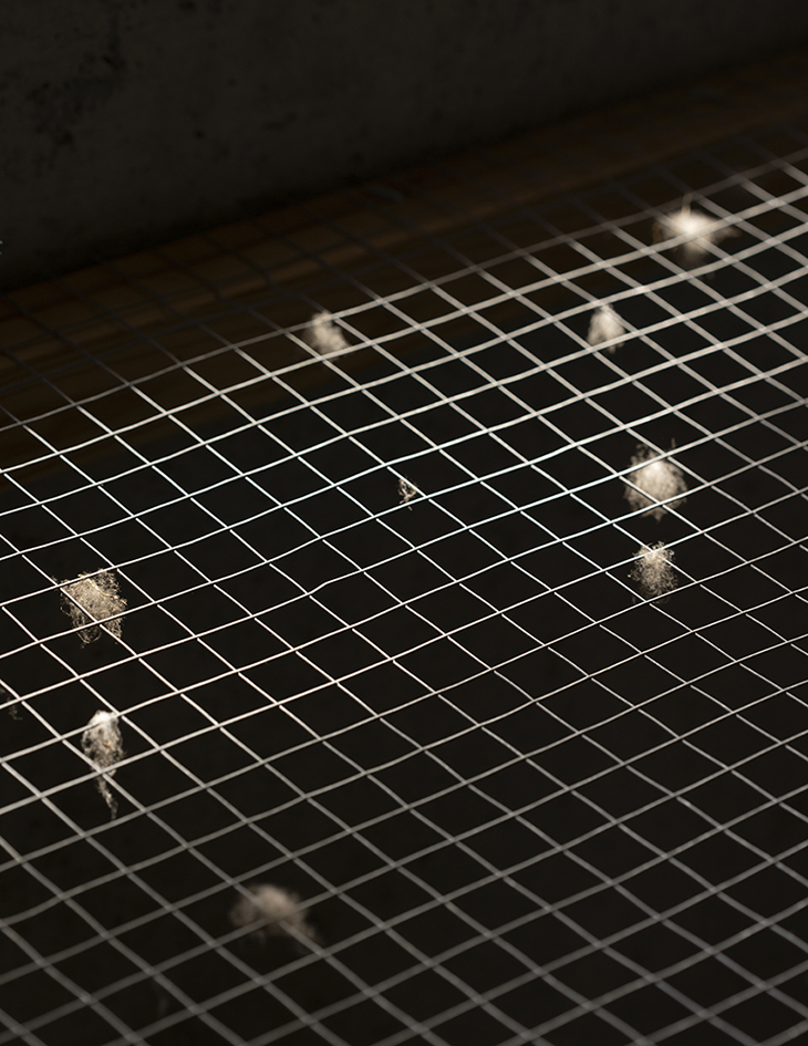 MARZENA SKUBATZ PHOTOGRAPHY