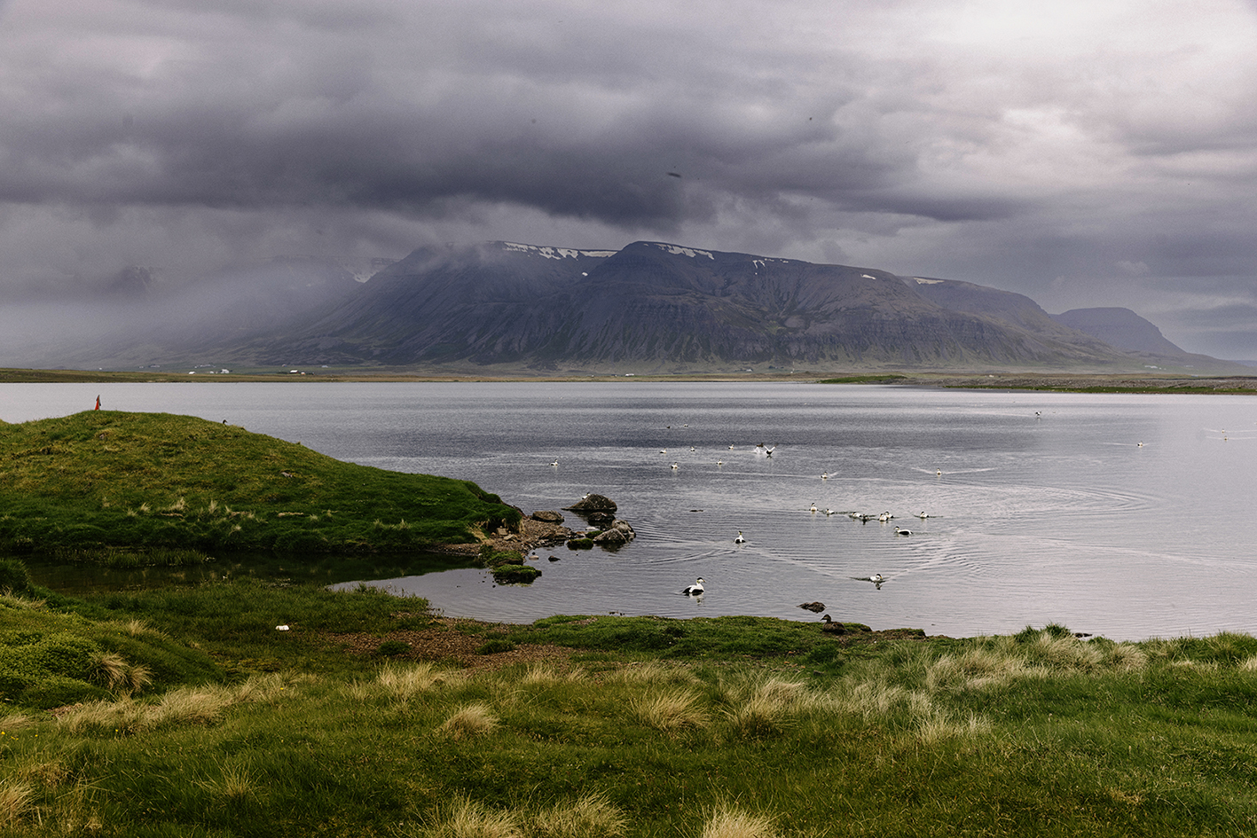 MARZENA SKUBATZ PHOTOGRAPHY